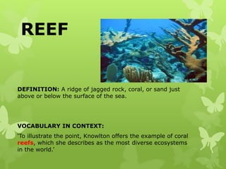 Geographical features | PPSX