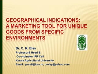 GEOGRAPHICAL INDICATIONS:
A MARKETING TOOL FOR UNIQUE
GOODS FROM SPECIFIC
ENVIRONMENTS

   Dr. C. R. Elsy
   Professor& He...