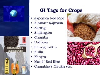 geographical_indications by PROF MOHAMMAD HUSSAIN.pptx