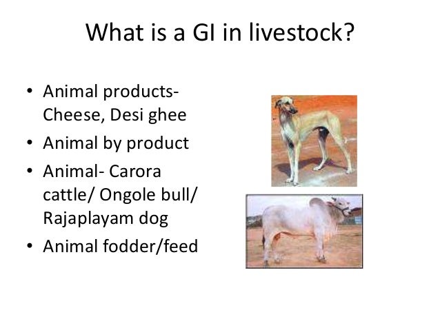 Geographical Indications In Animal Sciences