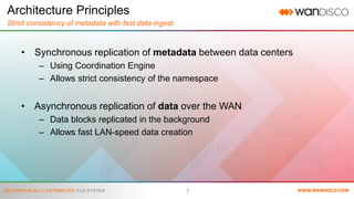 HDFS for Geographically Distributed File System | PDF
