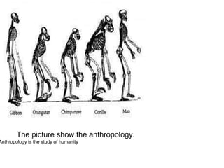 Anthropology is the study of humanity  The picture show the anthropology. 