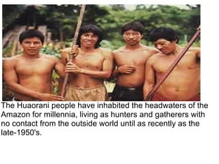 The Huaorani people have inhabited the headwaters of the Amazon for millennia, living as hunters and gatherers with no contact from the outside world until as recently as the late-1950's. 