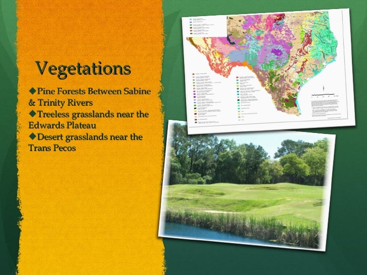 Major Geographic Features of Texas