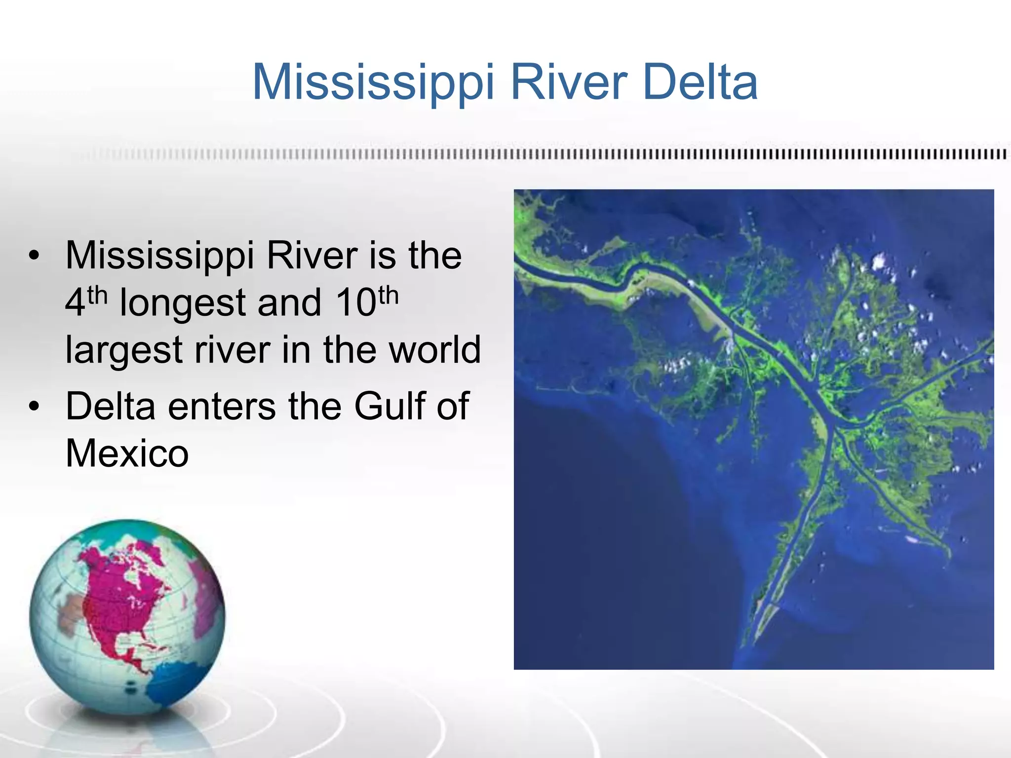Mississippi River Delta
• Mississippi River is the
4th longest and 10th
largest river in the world
• Delta enters the Gulf of
Mexico
 