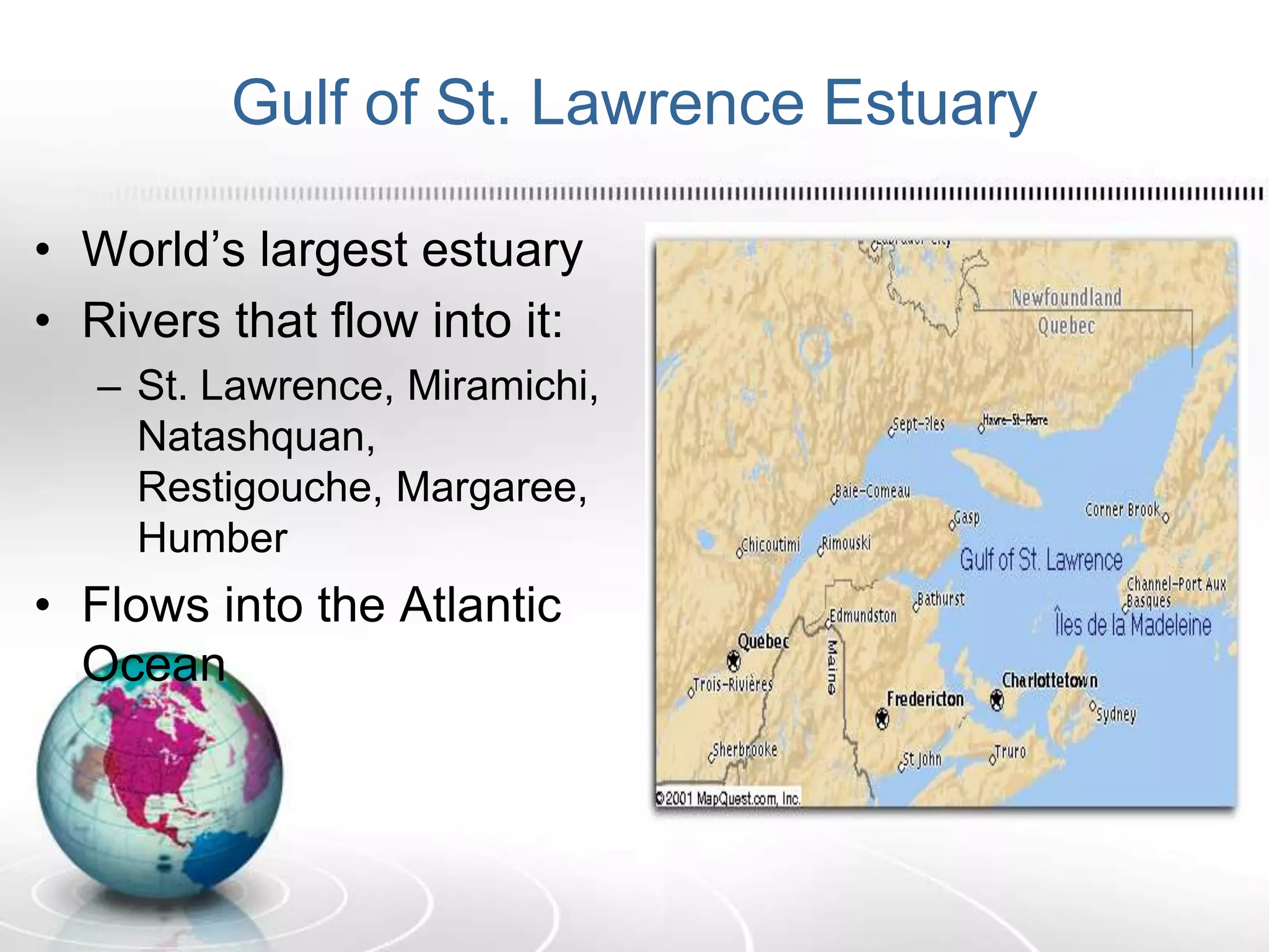 Gulf of St. Lawrence Estuary
• World’s largest estuary
• Rivers that flow into it:
– St. Lawrence, Miramichi,
Natashquan,
Restigouche, Margaree,
Humber
• Flows into the Atlantic
Ocean
 