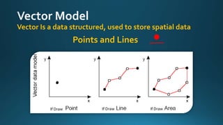 Vector Is a data structured, used to store spatial data
Points and Lines
If Draw If Draw If Draw
 