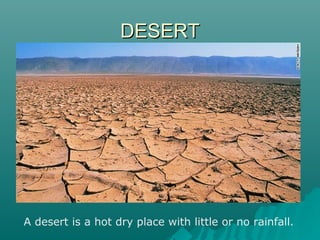 DDEESSEERRTT 
A desert is a hot dry place with little or no rainfall. 
 