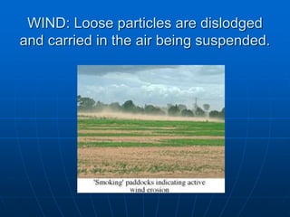 WIND: Loose particles are dislodged
and carried in the air being suspended.
 