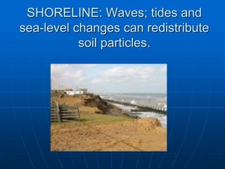 SHORELINE: Waves; tides and
sea-level changes can redistribute
soil particles.
 