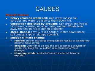 CAUSES
Natural Factors
 heavy rains on weak soil: rain drops loosen soil
particles and water transports them down hill.
 vegetation depleted by drought: rain drops are free to
hit the soil, causing erosion during rainfall. Winds blow
away the fine particles during droughts.
 steep slopes: gravity 'pulls harder': water flows faster;
soil creeps, slips or slumps downhill.
 sudden climate change
• rainfall: erosion increases unexpectedly rapidly as rainstorms
become more severe.
• drought: water dries up and the soil becomes a playball of
winds. Soil biota die. A sudden rain causes enormous
damage.
• changing winds: areas previously sheltered, become
exposed.
 