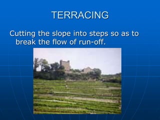 TERRACING
Cutting the slope into steps so as to
break the flow of run-off.
 