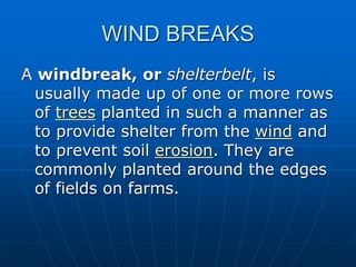 WIND BREAKS
A windbreak, or shelterbelt, is
usually made up of one or more rows
of trees planted in such a manner as
to provide shelter from the wind and
to prevent soil erosion. They are
commonly planted around the edges
of fields on farms.
 