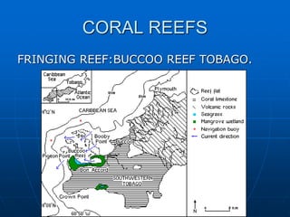 CORAL REEFS
FRINGING REEF:BUCCOO REEF TOBAGO.
 