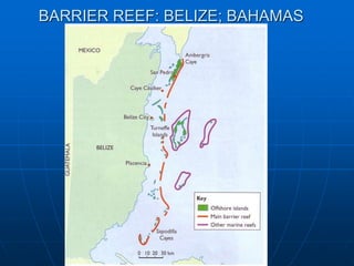 BARRIER REEF: BELIZE; BAHAMAS
 