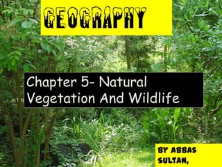 GEOGRAPHY

Chapter 5- Natural
Vegetation And Wildlife


                   By Abbas
                   Sultan,
 