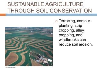 SUSTAINABLE AGRICULTURE
THROUGH SOIL CONSERVATION
                 Terracing, contour
                  planting, strip
                  cropping, alley
                  cropping, and
                  windbreaks can
                  reduce soil erosion.
 