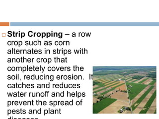    Strip Cropping – a row
    crop such as corn
    alternates in strips with
    another crop that
    completely covers the
    soil, reducing erosion. It
    catches and reduces
    water runoff and helps
    prevent the spread of
    pests and plant
 
