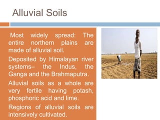 Alluvial Soils

a.    Most widely spread: The
     entire northern plains are
     made of alluvial soil.
b.   Deposited by Himalayan river
     systems– the Indus, the
     Ganga and the Brahmaputra.
c.   Alluvial soils as a whole are
     very fertile having potash,
     phosphoric acid and lime.
d.   Regions of alluvial soils are
     intensively cultivated.
 