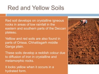 Red and Yellow Soils
a.   Red soil develops on crystalline igneous
     rocks in areas of low rainfall in the
     eastern and southern parts of the Deccan
     plateau.
b.   Yelllow and red soils are also found in
     parts of Orissa, Chhattisgarh middle
     Ganga plain.
c.   These soils develop a reddish colour due
     to diffusion of iron in crystalline and
     metamorphic rocks.
d.   It looks yellow when it occurs in a
     hydrated form.
 