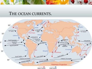 THE OCEAN CURRENTS.
 