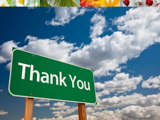 Geography; Jet Streams and Ocean Currents