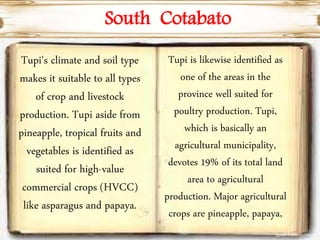 South Cotabato
Tupi's climate and soil type
makes it suitable to all types
of crop and livestock
production. Tupi aside from
pineapple, tropical fruits and
vegetables is identified as
suited for high-value
commercial crops (HVCC)
like asparagus and papaya.
Tupi is likewise identified as
one of the areas in the
province well suited for
poultry production. Tupi,
which is basically an
agricultural municipality,
devotes 19% of its total land
area to agricultural
production. Major agricultural
crops are pineapple, papaya,
 