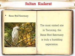 Sultan Kudarat
• Baras Bird Sanctuary
The most visited site
in Tacurong, the
Baras Bird Sanctuary
is truly a humbling
experience.
 