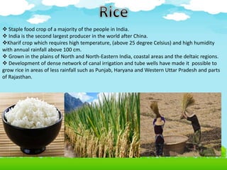  Staple food crop of a majority of the people in India.
 India is the second largest producer in the world after China.
Kharif crop which requires high temperature, (above 25 degree Celsius) and high humidity
with annual rainfall above 100 cm.
 Grown in the plains of North and North-Eastern India, coastal areas and the deltaic regions.
 Development of dense network of canal irrigation and tube wells have made it possible to
grow rice in areas of less rainfall such as Punjab, Haryana and Western Uttar Pradesh and parts
of Rajasthan.
 