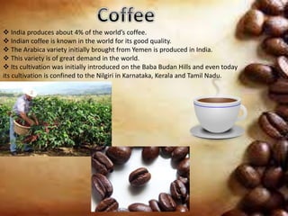  India produces about 4% of the world’s coffee.
 Indian coffee is known in the world for its good quality.
 The Arabica variety initially brought from Yemen is produced in India.
 This variety is of great demand in the world.
 Its cultivation was initially introduced on the Baba Budan Hills and even today
its cultivation is confined to the Nilgiri in Karnataka, Kerala and Tamil Nadu.
 