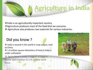India is an agriculturally important country.
Agriculture produces most of the food that we consume.
 Agriculture also produces raw materials for various industries.
Did you know ?
 India is second in the world in crop output, next
to China.
 1.4 million square-kilometers of land in India is
under cultivation.
 Agriculture is India's biggest economic
sector and employs 52.1% of total work
force .
 