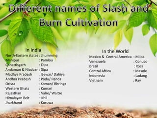 In India
North-Eastern states : Jhumming
Manipur : Pamlou
Chhattisgarh : Dipa
Andaman & Nicobar : Dipa
Madhya Pradesh : Bewar/ Dahiya
Andhra Pradesh : Podu/ Penda
Orissa : Koman/ Bhringa
Western Ghats : Kumari
Rajasthan : Valre/ Waltre
Himalayan Belt : Khil
Jharkhand : Kuruwa
In the World
Mexico & Central America : Milpa
Venezuela : Conuco
Brazil : Roca
Central Africa : Masole
Indonesia : Ladang
Vietnam : Ray
 