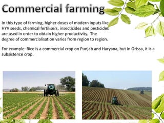 In this type of farming, higher doses of modern inputs like
HYV seeds, chemical fertilisers, insecticides and pesticides
are used in order to obtain higher productivity. The
degree of commercialisation varies from region to region.
For example: Rice is a commercial crop on Punjab and Haryana, but in Orissa, it is a
subsistence crop.
 