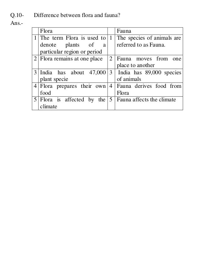 Cambridge Social Science Class 7 Geography
