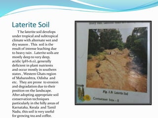 Laterite Soil
T he laterite soil develops
under tropical and subtropical
climate with alternate wet and
dry season . This soil is the
result of intense leaching due
to heavy rain . Laterite soils are
mostly deep to very deep,
acidic (pH<6.0), generally
deficient in plant nutrients
and occur mostly in southern
states , Western Ghats region
of Maharashtra, Odisha and
etc. They are prone to erosion
and degradation due to their
position on the landscape.
After adopting appropriate soil
conservation techniques
particularly in the hilly areas of
Karnataka, Kerala and Tamil
Nadu, this soil is very useful
for growing tea and coffee.
 