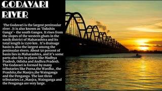 GODAVARI
RIVER
The Godavari is the largest peninsular
river . It is also known as 'Dakshin
Ganga’- the south Ganges. It rises from
the slopes of the western ghats in the
nasik district of Maharashtra and its
total length is 1500 km . It’s drainage
basin is also the largest among the
peninsular rivers. About 50 percent of
basin lies in Maharashtra, and it’s some
parts also lies in places like Madhya
Pradesh, Odisha and Andhra Pradesh.
The Godavari is formed by many
tributaries like Purna,the Wardha , the
Pranhita,the Manjra,the Wainganga
and the Penganga. The last three
tributaries.i.e.,Manjra, Wainganga and
the Penganga are very large.
 