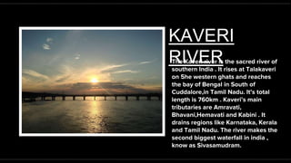 KAVERI
RIVER
The Kaveri river is the sacred river of
southern India . It rises at Talakaveri
on 5he western ghats and reaches
the bay of Bengal in South of
Cuddalore,in Tamil Nadu. It’s total
length is 760km . Kaveri’s main
tributaries are Amravati,
Bhavani,Hemavati and Kabini . It
drains regions like Karnataka, Kerala
and Tamil Nadu. The river makes the
second biggest waterfall in india ,
know as Sivasamudram.
 