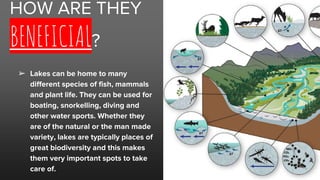 HOW ARE THEY
BENEFICIAL?
➢ Lakes can be home to many
different species of fish, mammals
and plant life. They can be used for
boating, snorkelling, diving and
other water sports. Whether they
are of the natural or the man made
variety, lakes are typically places of
great biodiversity and this makes
them very important spots to take
care of.
 