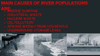MAIN CAUSES OF RIVER POPULATIONS
ARE;
● MARINE DUMPING
● INDUSTRIAL WASTE
● NUCLEAR WASTE
● OIL POLLUTION
● SEWAGE MAINLY FROM HOUSEHOLD
● UNDERGROUND STORAGE LEAKS
 