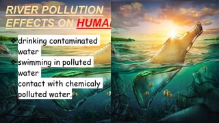 RIVER POLLUTION
EFFECTS ON HUMANS
❖drinking contaminated
water
❖swimming in polluted
water
❖ contact with chemicaly
polluted water.
 