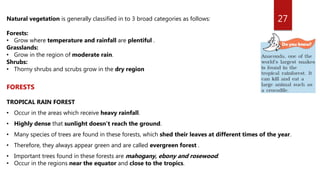 27Natural vegetation is generally classified in to 3 broad categories as follows:
Forests:
• Grow where temperature and rainfall are plentiful .
Grasslands:
• Grow in the region of moderate rain.
Shrubs:
• Thorny shrubs and scrubs grow in the dry region
FORESTS
TROPICAL RAIN FOREST
• Occur in the areas which receive heavy rainfall.
• Highly dense that sunlight doesn’t reach the ground.
• Many species of trees are found in these forests, which shed their leaves at different times of the year.
• Therefore, they always appear green and are called evergreen forest .
• Important trees found in these forests are mahogany, ebony and rosewood.
• Occur in the regions near the equator and close to the tropics.
 