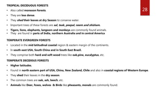 28
TROPICAL DECIDUOUS FORESTS
• Also called monsoon forests.
• They are less dense.
• They shed their leaves at dry Season to conserve water.
• Important trees of these forests are sal, teak, peepal, neem and shisham.
• Tigers, lions, elephants, langoors and monkeys are commonly found animals.
• They are found in parts of India, northern Australia and in central America
TEMPERATE EVERGREEN FORESTS
• Located in the mid latitudinal coastal region & eastern margin of the continents.
• In south east USA, South China and in South East Brazil.
• They comprise both hard and soft wood trees like oak,pine, eucalyptus, etc.
TEMPERATE DECIDOUS FORESTS
• Higher latitudes,
• Found in north eastern part of USA, China, New Zealand, Chile and also in coastal regions of Western Europe.
• They shed their leaves in the dry season.
• The common trees are oak, ash, beech, etc.
• Animals like Deer, foxes, wolves & Birds like pheasants, monals are commonly found.
 