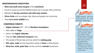 29
MEDITERRANEAN VEGETATION
• West and south west margins of the continents
• Found in areas around the Mediterranean sea in Europe, Africa and Asia
• Marked for hot dry summers and mild rainy winters.
• Citrus fruits such as oranges, figs, olives and grapes are commonly
• There isn’t much wildlife here.
CONIFEROUS FORESTS
• Higher latitudes (50° – 70°) of Northern hemisphere
• Also called as Taiga.
• Seen in the higher altitudes.
• They are tall, softwood evergreen trees.
• The woods of these trees are very useful for making pulp.
• Chir, pine, cedar are the important variety of trees in these forests.
• Silver fox, mink, polar bear are the common animals found here.
 