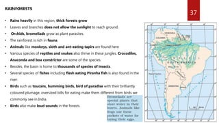 37
RAINFORESTS
• Rains heavily in this region, thick forests grow
• Leaves and branches does not allow the sunlight to reach ground.
• Orchids, bromeliads grow as plant parasites.
• The rainforest is rich in fauna.
• Animals like monkeys, sloth and ant-eating tapirs are found here
• Various species of reptiles and snakes also thrive in these jungles. Crocodiles,
Anaconda and boa constrictor are some of the species.
• Besides, the basin is home to thousands of species of insects.
• Several species of fishes including flesh eating Piranha fish is also found in the
river.
• Birds such as toucans, humming birds, bird of paradise with their brilliantly
coloured plumage, oversized bills for eating make them different from birds we
commonly see in India.
• Birds also make loud sounds in the forests.
 