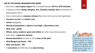 39
LIFE IN THE GANGA-BRAHMAPUTRA BASIN
• Basin lies in sub-tropical region that is situated between 10°N to 30°N latitudes.
• Tributaries of River Ganga (Ghaghra, Son, Chambal, Gandak, Kosi) & tributaries of
Brahmaputra drain it
• Area is dominated by monsoon climate (Rains from mid-June to mid-September).
• Summers are hot and winters cool.
• varied topography.
• Density of population of plains is very high & Mountains is low.
• Main crop - paddy
• Wheat, maize, sorghum, gram and millets are other crops that are grown.
• Cash crops - sugarcane and jute .
• Banana plantations are seen in some areas of the plain.
• West Bengal and Assam - TEA.
• Bihar and Assam - Silk.
• In mountains and hills they have step Farming.
 