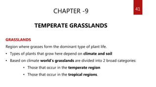 41
CHAPTER -9
TEMPERATE GRASSLANDS
GRASSLANDS
Region where grasses form the dominant type of plant life.
• Types of plants that grow here depend on climate and soil
• Based on climate world’s grasslands are divided into 2 broad categories:
• Those that occur in the temperate region
• Those that occur in the tropical regions.
 