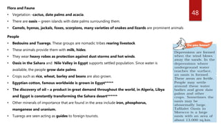48
Flora and Fauna
• Vegetation -cactus, date palms and acacia.
• There are oasis – green islands with date palms surrounding them.
• Camels, hyenas, jackals, foxes, scorpions, many varieties of snakes and lizards are prominent animals
People
• Bedouins and Tuaregs. These groups are nomadic tribes rearing livestock
• These animals provide them with milk, hides.
• They wear heavy robes as protection against dust storms and hot winds.
• Oasis in the Sahara and Nile Valley in Egypt supports settled population. Since water is
available, the people grow date palms.
• Crops such as rice, wheat, barley and beans are also grown.
• Egyptian cotton, famous worldwide is grown in Egypt*****
• The discovery of oil – a product in great demand throughout the world, in Algeria, Libya
and Egypt is constantly transforming the Sahara desert******
• Other minerals of importance that are found in the area include iron, phosphorus,
manganese and uranium.
• Tuaregs are seen acting as guides to foreign tourists.
 