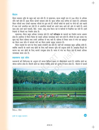 45
i`Foh osQ izeq[k LFky:i
eSnku
eSnku lery Hkwfe osQ cgqr cM+s Hkkx gksrs gSaA os lkekU;Rk% ekè; leqnzh ry ls 200 ehVj ls vfèkd
Å¡ps ugha gksrs gSaA oqQN eSnku dkiQh lery gksrs gSaA oqQN m£ey rFkk rjafxr gks ldrs gSaA vfèkdka'k
eSnku ufn;ksa rFkk mudh lgk;d ufn;ksa osQ }kjk cus gSaA ufn;k¡ ioZrksa osQ <kyksa ij uhps dh vksj cgrh
gSa rFkk mUgsa vijfnr dj nsrh gSaA os vijfnr inkFkksaZ dks viuss lkFk vkxs dh vksj ys tkrh gSaA vius
lkFk <ks, tkus okys inkFkks±_ tSls& iRFkj] ckyw rFkk flYV dks os ?kkfV;ksa esa fu{ksfir dj nsrh gSaA bUgha
fu{ksiksa ls eSnkuksa dk fuekZ.k gksrk gSA
lkekU;r% eSnku cgqr vfèkd mitkÅ gksrs gSaA ;gk¡ ifjogu osQ lkèkuksa dk fuekZ.k djuk vklku
gksrk gSA blfy, ;s eSnku fo'o osQ lcls vfèkd tula[;k okys Hkkx gksrs gSaA ufn;ksa osQ }kjk cuk, x,
oqQN cM+s eSnku ,f'k;k rFkk mÙkjh vesfjdk esa ik, tkrs gSaA ,f'k;k esa fLFkr Hkkjr esa xaxk ,oa czãiq=k
dk eSnku rFkk phu esa ;kaxRls unh dk eSnku blosQ izeq[k mnkgj.k gSaA
eSnku euq";ksa osQ jgus osQ fy, lcls mi;ksxh {ks=k gksrs gSaA ;gk¡ dh tula[;k cgqr vfèkd gksrh gS]
D;ksafd edkuksa osQ cukus rFkk [ksrh osQ fy, ;gk¡ lery Hkwfe dh izpqjrk gksrh gSA mitkÅ feV~Vh osQ
dkj.k ;g Hkkx [ksrh osQ fy, dkiQh mi;qDr gksrk gSA Hkkjr esa xaxk dk eSnku ns'k esa lcls vfèkd
tula[;k okyk {ks=k gSA
LFky:i ,oa yksx
LFky:iksa dh fofHkUurk osQ vuq:i gh ekuo fofHkUu izdkj ls thou;kiu djrs gSaA ioZrh; {ks=kksa dk
thou dfBu gksrk gSA eSnkuh {ks=kksa dk thou ioZrh; {ks=kksa dh rqyuk esa ljy gksrk gSA eSnkuksa esa iQlysa
fp=k 6.6 : eSnku
2018-19
 