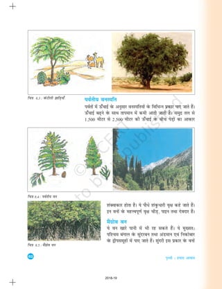 62
i`Foh % gekjk vkokl
ioZrh; ouLifr
ioZrksa esa Å¡pkbZ osQ vuqlkj ouLifr;ksa osQ fofHkUu izdkj ik, tkrs gSaA
Å¡pkbZ c<+us osQ lkFk rkieku essa deh vkrh tkrh gSA leqnz ry ls
1]500 ehVj ls 2]500 ehVj dh Å¡pkbZ osQ chp isM+ksa dk vkdkj
fp=k 8.3 : oaQVhyh >kfM+;k¡
'kaDokdkj gksrk gSA ;s ikS/s 'kaoqQèkkjh o`{k dgs tkrs gSaA
bu ouksa osQ egÙoiw.kZ o`{k phM+] ikbu rFkk nsonkj gSaA
eSaxzkso ou
;s ou [kkjs ikuh esa Hkh jg ldrs gSaaA ;s eq[;r%
if'pe caxky osQ lqanjcu rFkk vaMeku ,oa fudksckj
osQ }hilewgksa esa ik, tkrs gSaA lqanjh bl izdkj osQ ouksa
fp=k 8.4 : ioZrh; ou
fp=k 8.5 : eSaxzkso ou
2018-19
 