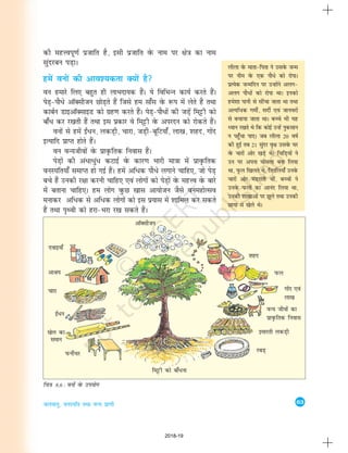 63
tyok;q] ouLifr rFkk oU; izk.kh
dh egÙoiw.kZ iztkfr gS] blh iztkfr osQ uke ij {ks=k dk uke
lqanjcu iM+kA
gesa ouksa dh vko';drk D;ksa gS
ou gekjs fy, cgqr gh ykHknk;d gSaA ;s fofHkUu dk;Z djrs gSaA
isM+&ikS/s vkWDlhtu NksM+rs gSa ftls ge lk¡l osQ :Ik esa ysrs gSa rFkk
dkcZu MkbvkWDlkbM dks xzg.k djrs gSaA isM+&ikS/ksa dh tMsa+ feêðh dks
ck¡/ dj j[krh gSa rFkk bl izdkj os feêðh osQ vijnu dks jksdrs gSaA
ouksa ls gesa b±/u] ydM+h] pkjk] tM+h&cwfV;k¡] yk[k] 'kgn] xksan
bR;kfn izkIr gksrs gSaA
ou oU;thoksa osQ izko`Qfrd fuokl gSaA
isM+ksa dh va/k/qa/ dVkbZ osQ dkj.k Hkkjh ek=kk esa izko`Qfrd
ouLifr;k¡ lekIr gks xbZ gSaA gesa vf/d ikS/s yxkus pkfg,] tks isM+
cps gSa mudh j{kk djuh pkfg, ,oa yksxksa dks isM+ksa osQ egÙo osQ ckjs
esas crkuk pkfg,A ge yksx oqQN [kkl vk;kstu tSls ouegksRlo
eukdj vf/d ls vf/d yksxksa dks bl iz;kl esa 'kkfey dj ldrs
gSa rFkk i`Foh dks gjk&Hkjk j[k ldrs gSaA
yhyk osQ ekrk&firk us mlosQ tUe
ij uhe osQ ,d ikS/s dks jksikA
izR;sd tUefnu ij mUgksaus vyx&
vyx ikS/ksa dks jksik FkkA budks
ges'kk ikuh ls lhapk tkrk Fkk rFkk
vR;f/d xehZ] lnhZ ,oa tkuojksa
ls cpk;k tkrk FkkA cPps Hkh ;g
è;ku j[krs Fks fd dksbZ mUgsa uqdlku
u igq¡pk ik,A tc yhyk 20 o"kZ
dh gqbZ rc 21 lqanj o`{k mlosQ ?kj
osQ pkjksa vksj [kM+s FksA fpfM+;ksa us
mu ij viuk ?kksalyk cuk fy;k
Fkk] iwQy f[kyrs Fks] frrfy;k¡ muosQ
pkjksa vksj eaMjkrh Fkha] cPpksa us
muosQ iQyksa dk vkuan fy;k Fkk]
mudh 'kk[kkvksa ij >wys rFkk mudh
Nk;k esa [ksys FksA
fp=k 8.6 : ouksa osQ mi;ksx
nokb;k¡
vkJ;
pkjk
[ksy dk
leku
iQuhZpj
b±/u
feêðh dks ck¡/uk
jcM+
oU; thoksa dk
izko`Qfrd fuokl
xksan ,oa
yk[k
iQy
'kgn
bekjrh ydM+h
vkWDlhtu
2018-19
 